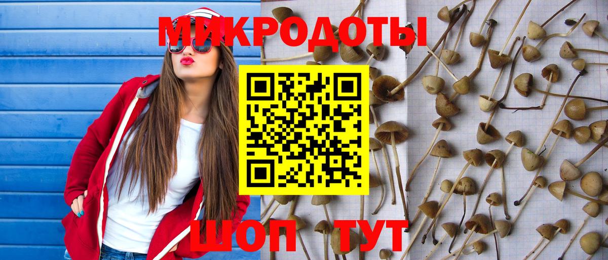 Галлюциногенные грибы прущие грибы  что такое наркотик  Вышний Волочёк 