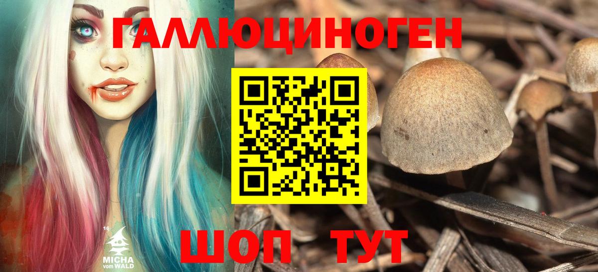 Вышний Волочёк  Галлюциногенные грибы ЛСД  Вход с VPN  магазин продажи   Галлюциногенные грибы мицелий 